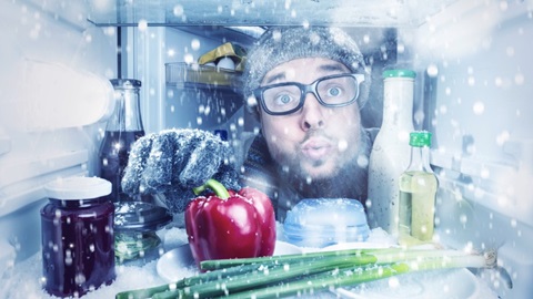 no frost technologie congelateur refrigirateur